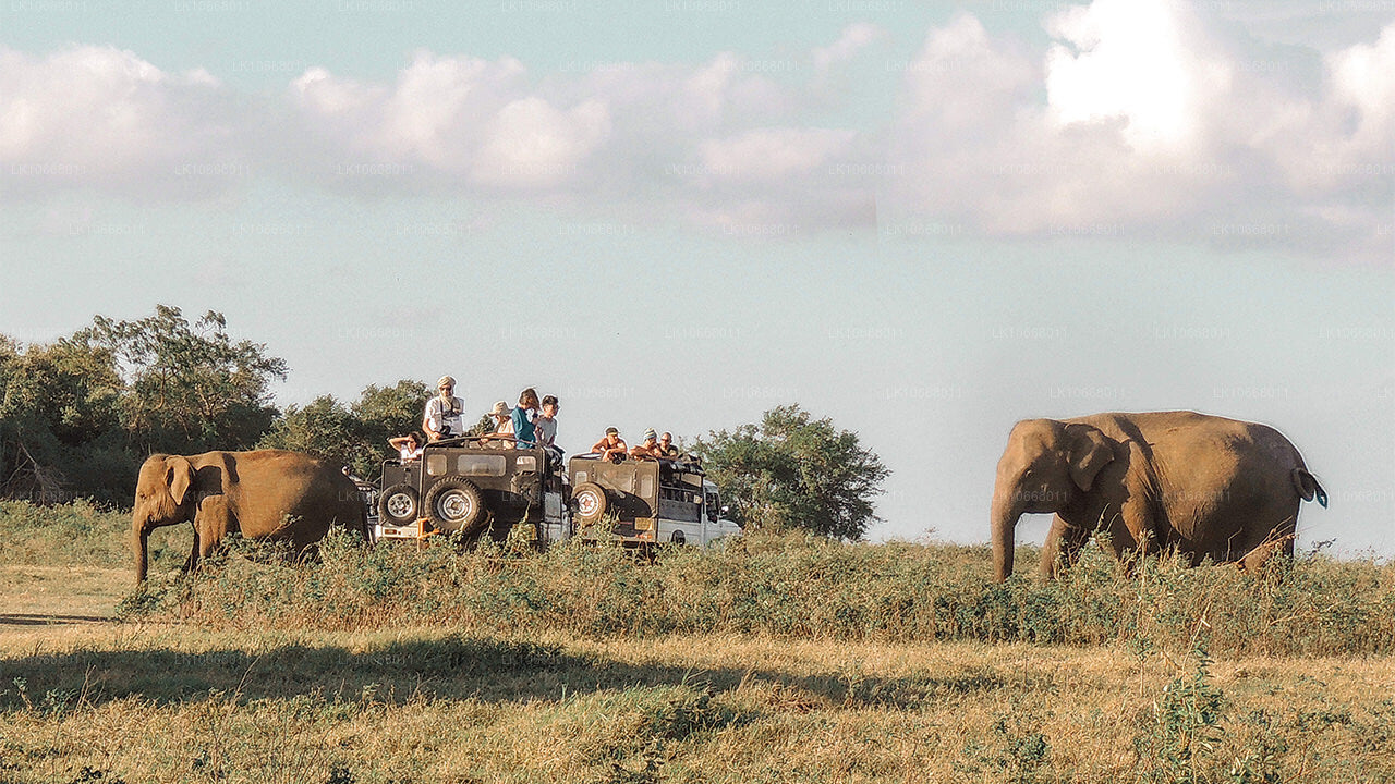 Espléndida Sri Lanka (6 días)