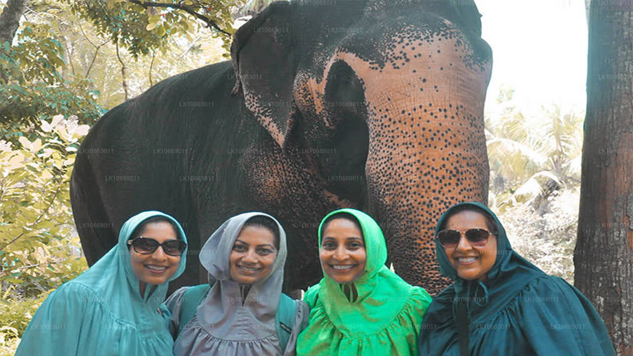 Naturaleza, colinas y vida silvestre (6 días)