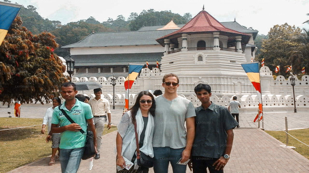 Naturaleza, colinas y vida silvestre (6 días)