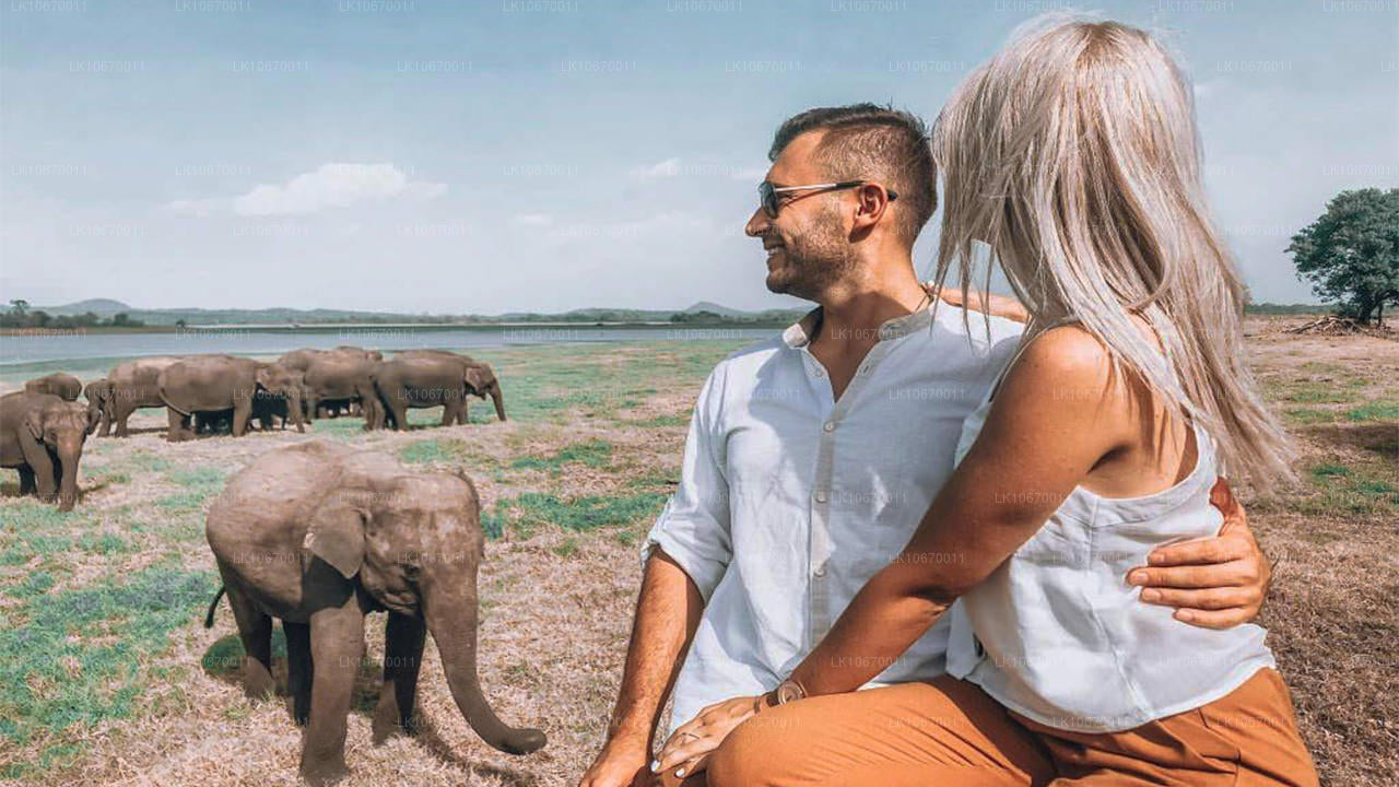 País cultural y central (6 días)