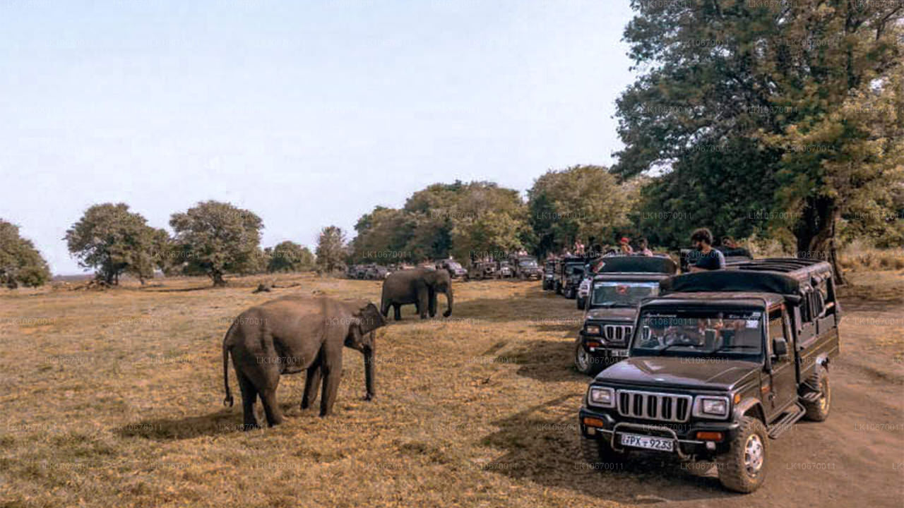 País cultural y central (6 días)