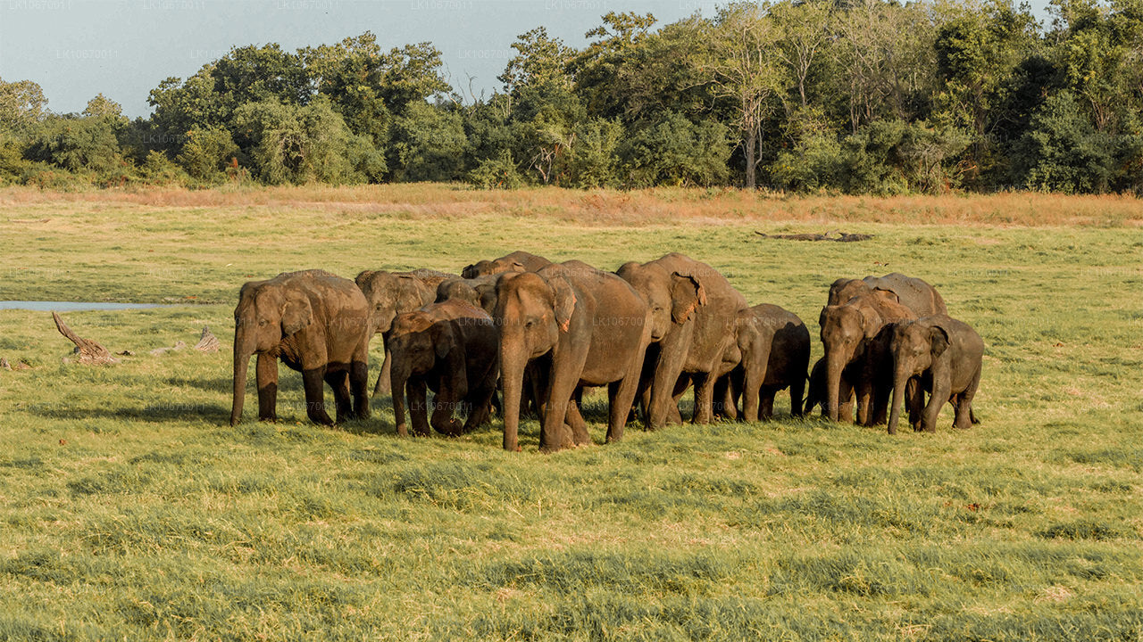 País cultural y central (6 días)
