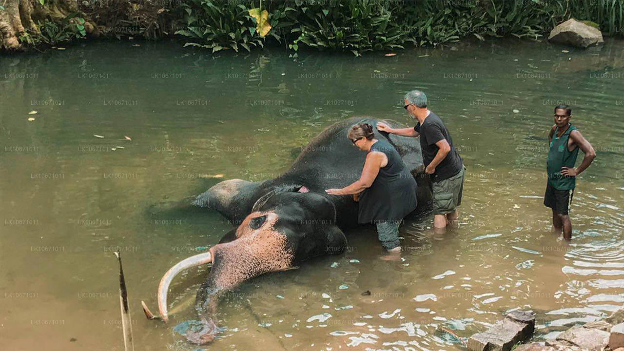 Sendero del Ramayana (6 días)