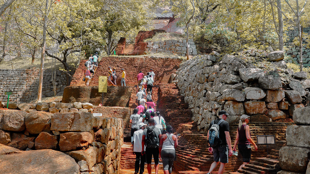 Tour de peregrinación budista (6 días)