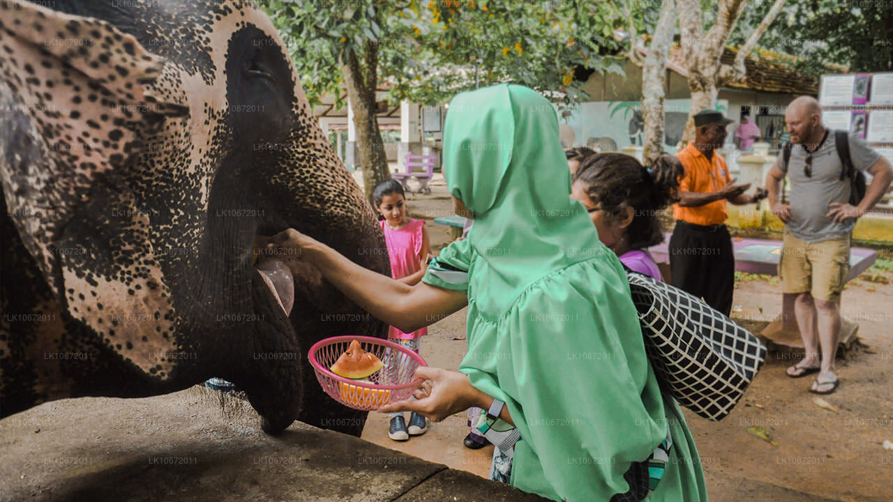Tour de peregrinación budista (6 días)