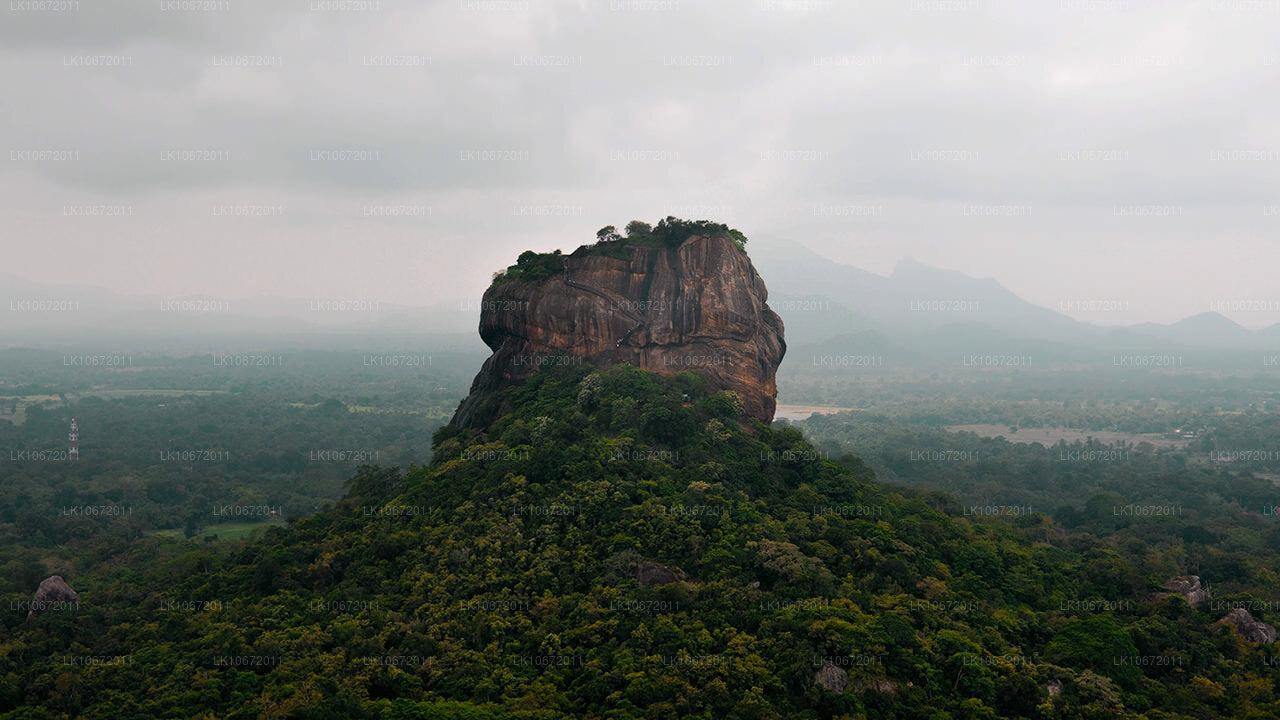 Tour de peregrinación budista (6 días)