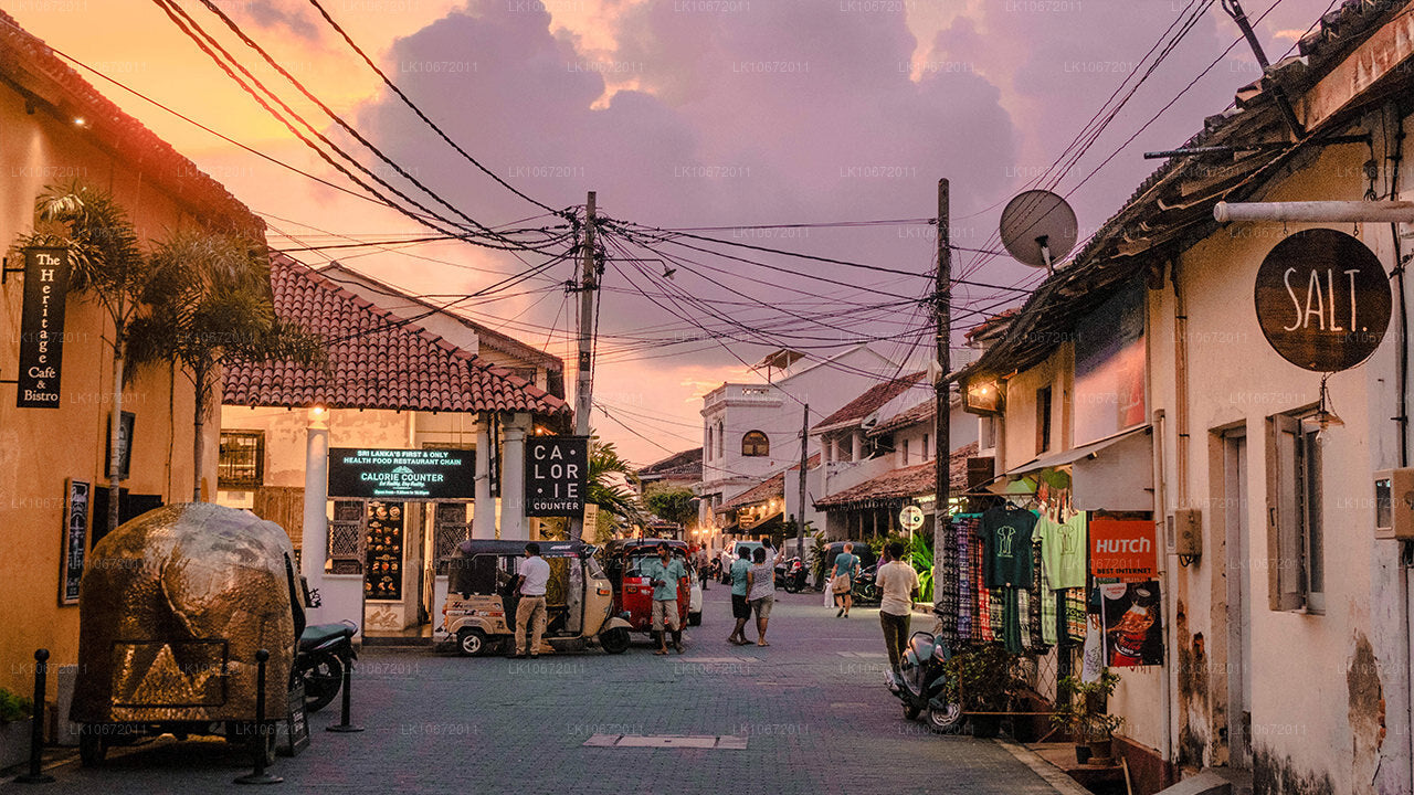 Tour de peregrinación budista (6 días)