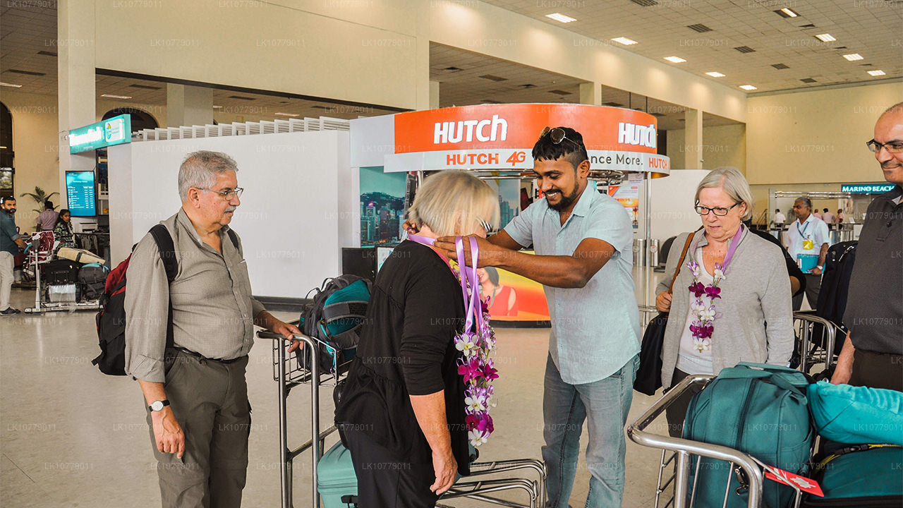 Hacia las colinas (7 días)