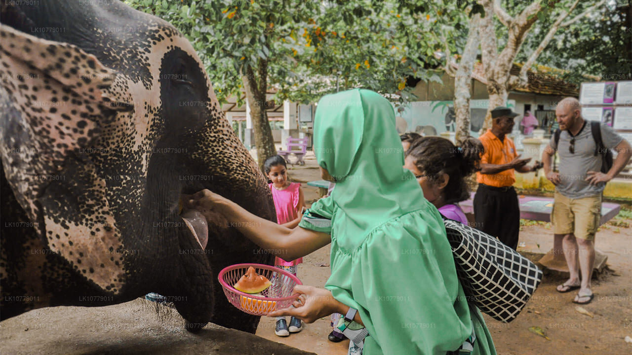 Hacia las colinas (7 días)
