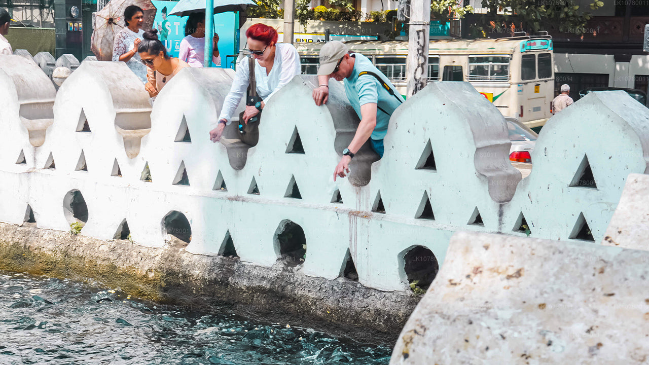 Mezcla de costa y colinas (7 días)