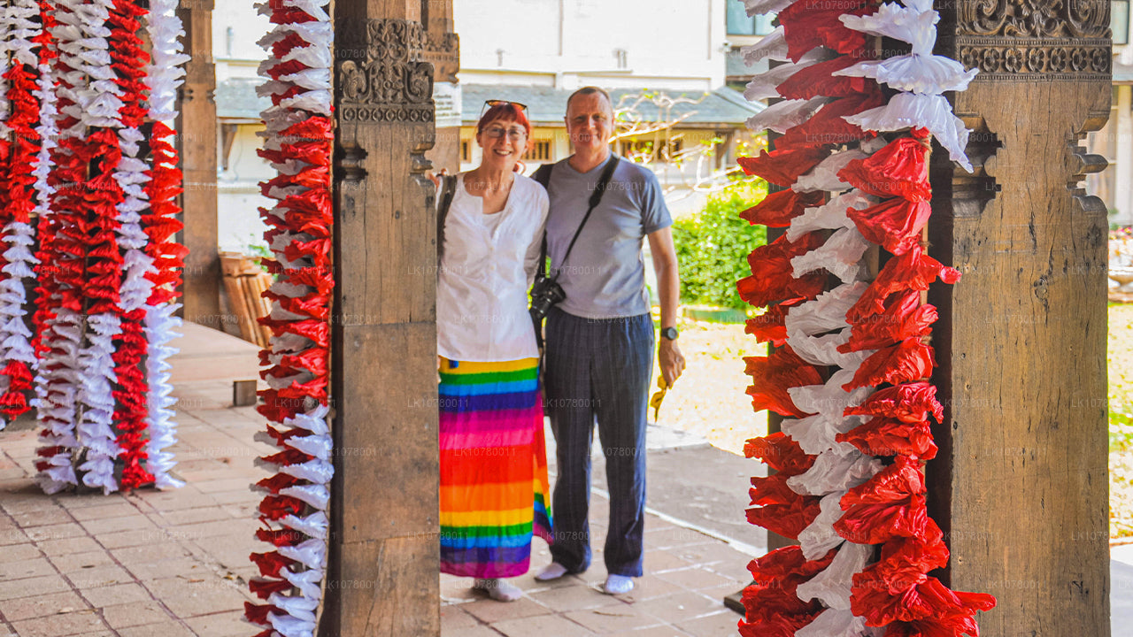 Mezcla de costa y colinas (7 días)