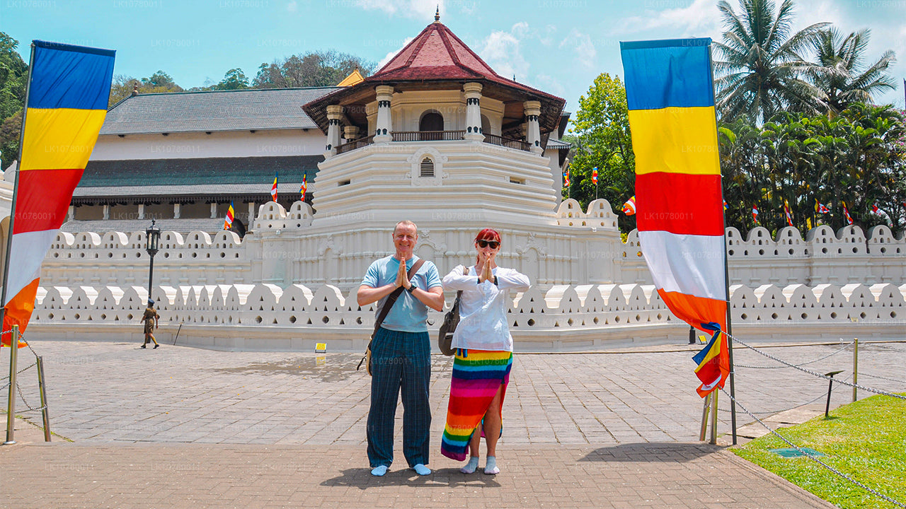 Mezcla de costa y colinas (7 días)