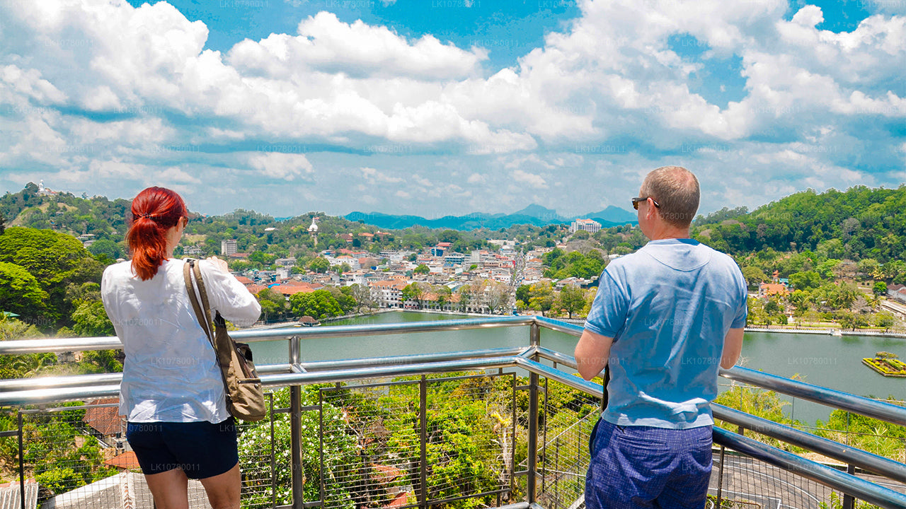 Mezcla de costa y colinas (7 días)