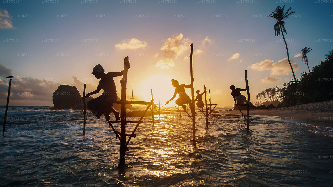 Mezcla de costa y colinas (7 días)