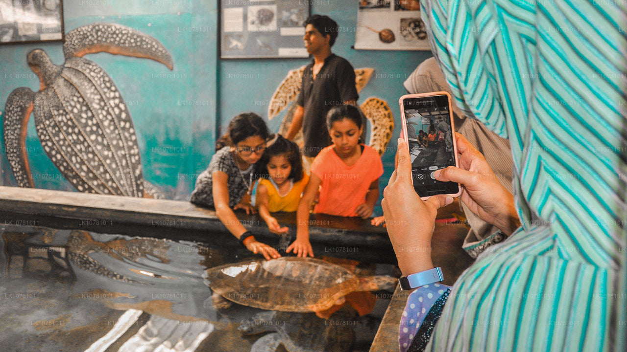 Costa Dorada del Sur (7 días)