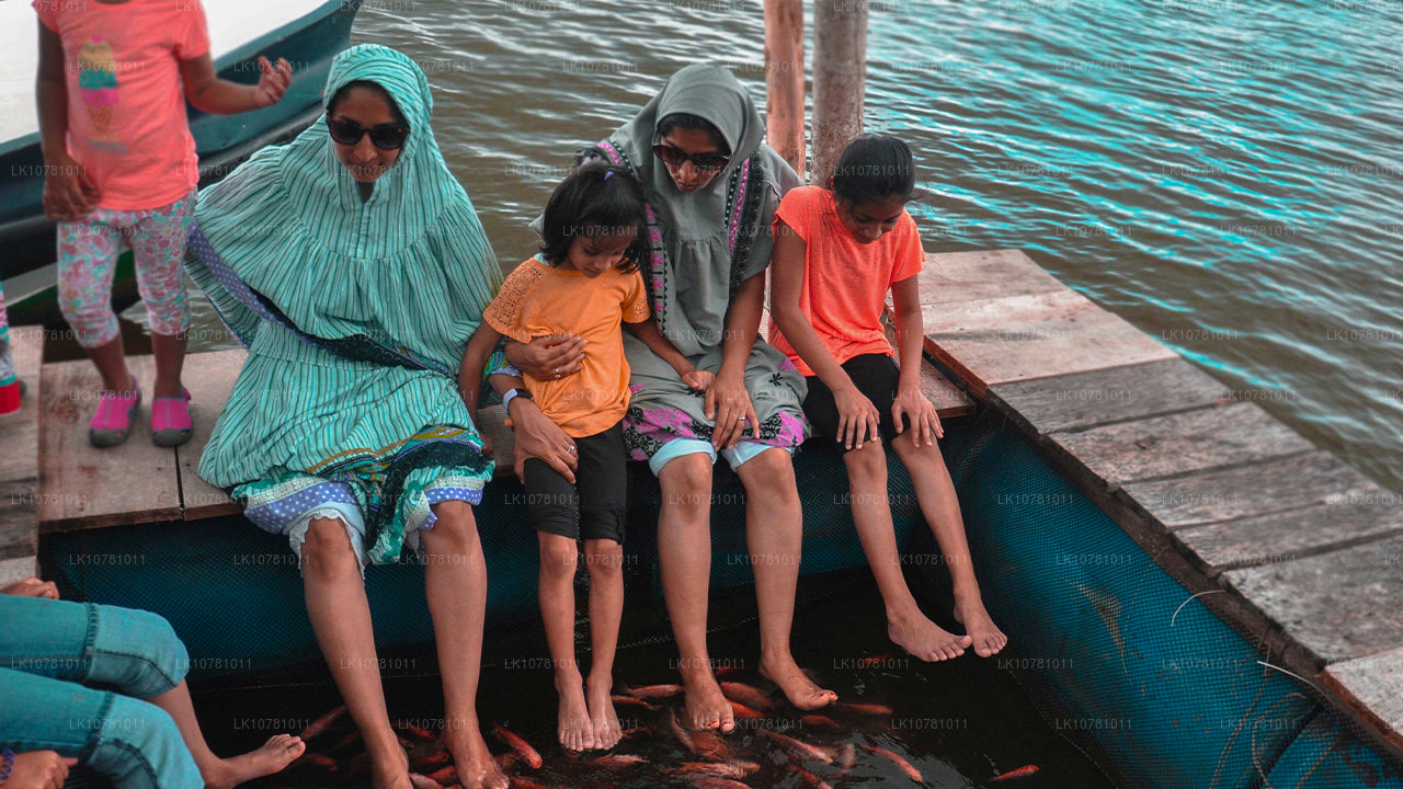 Costa Dorada del Sur (7 días)
