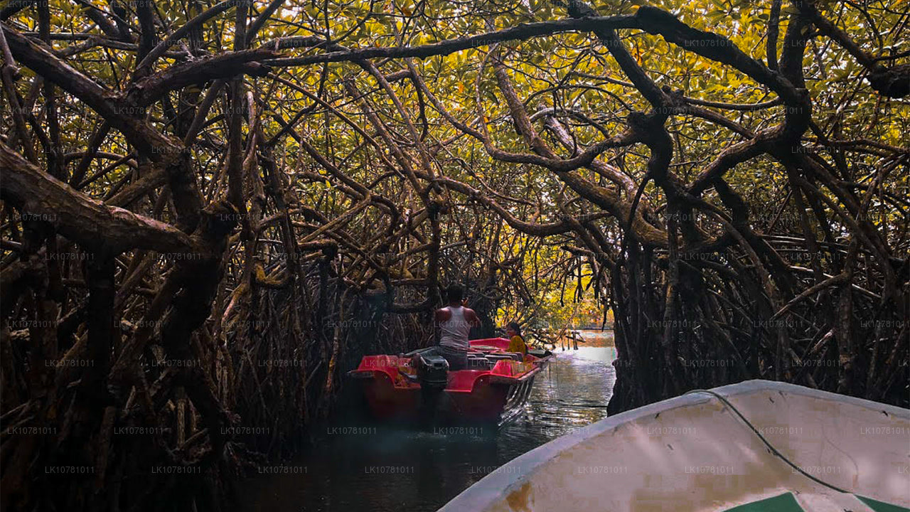 Costa Dorada del Sur (7 días)