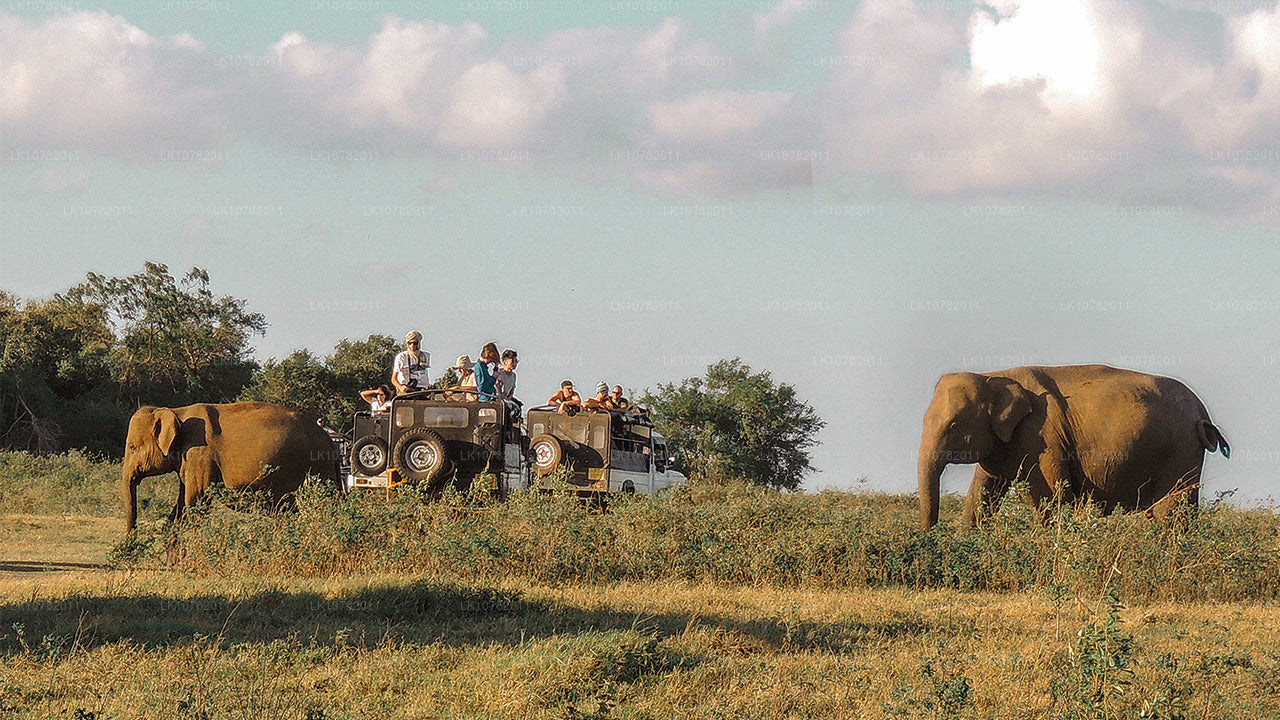 Maravillas del Este (7 días)
