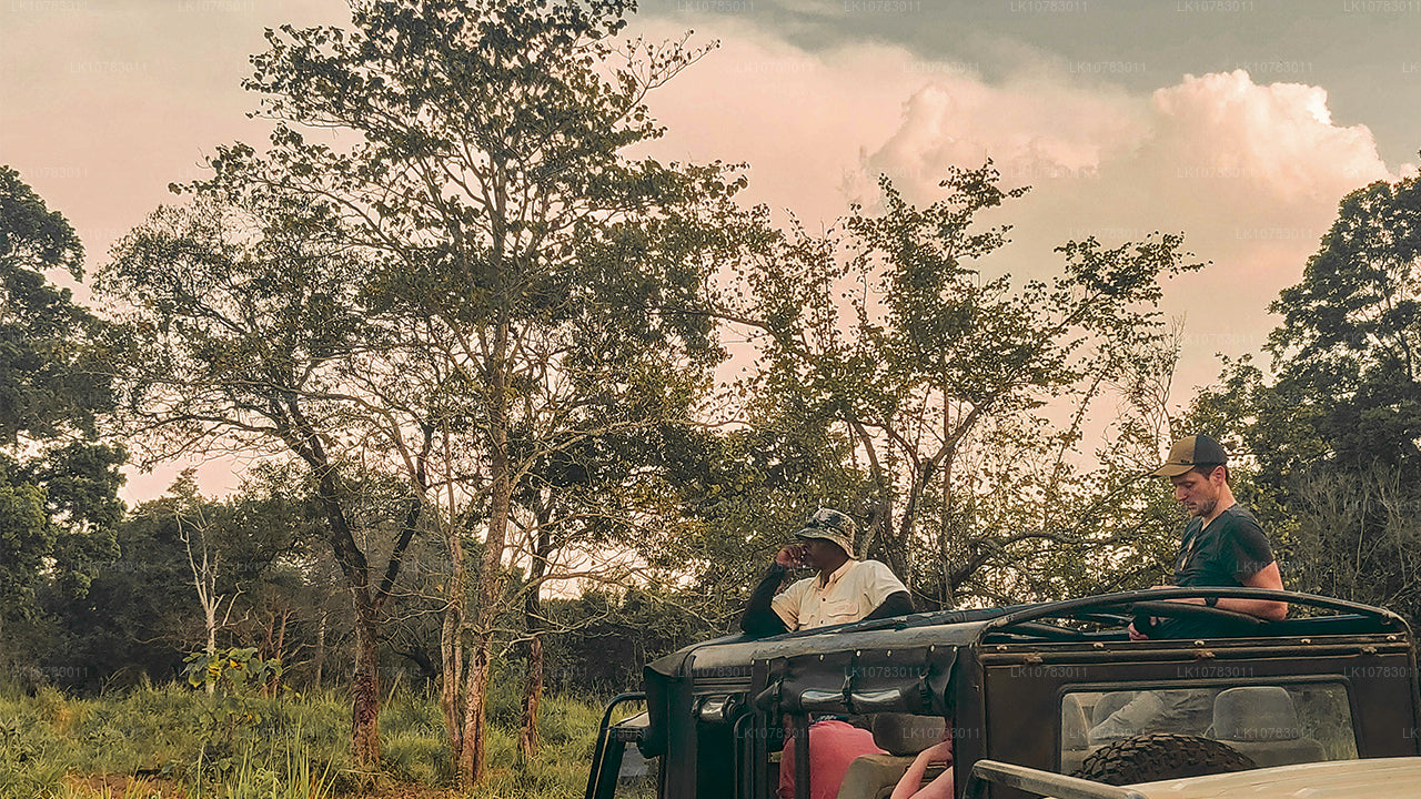 Los 5 grandes en la temporada de la costa sur (7 días)