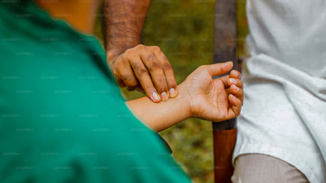 Escapada de Ayurveda en Wadduwa (7 días)