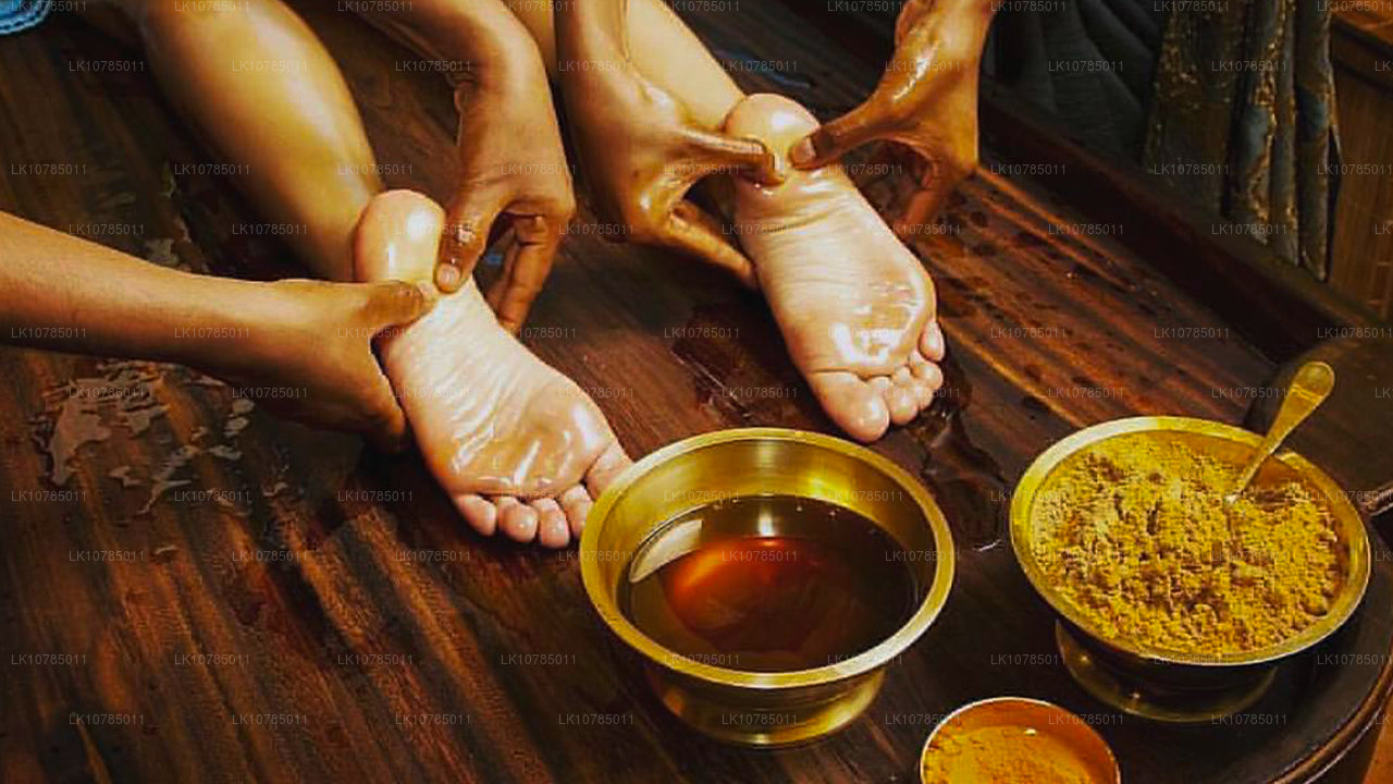 Escapada de Ayurveda en Wadduwa (7 días)