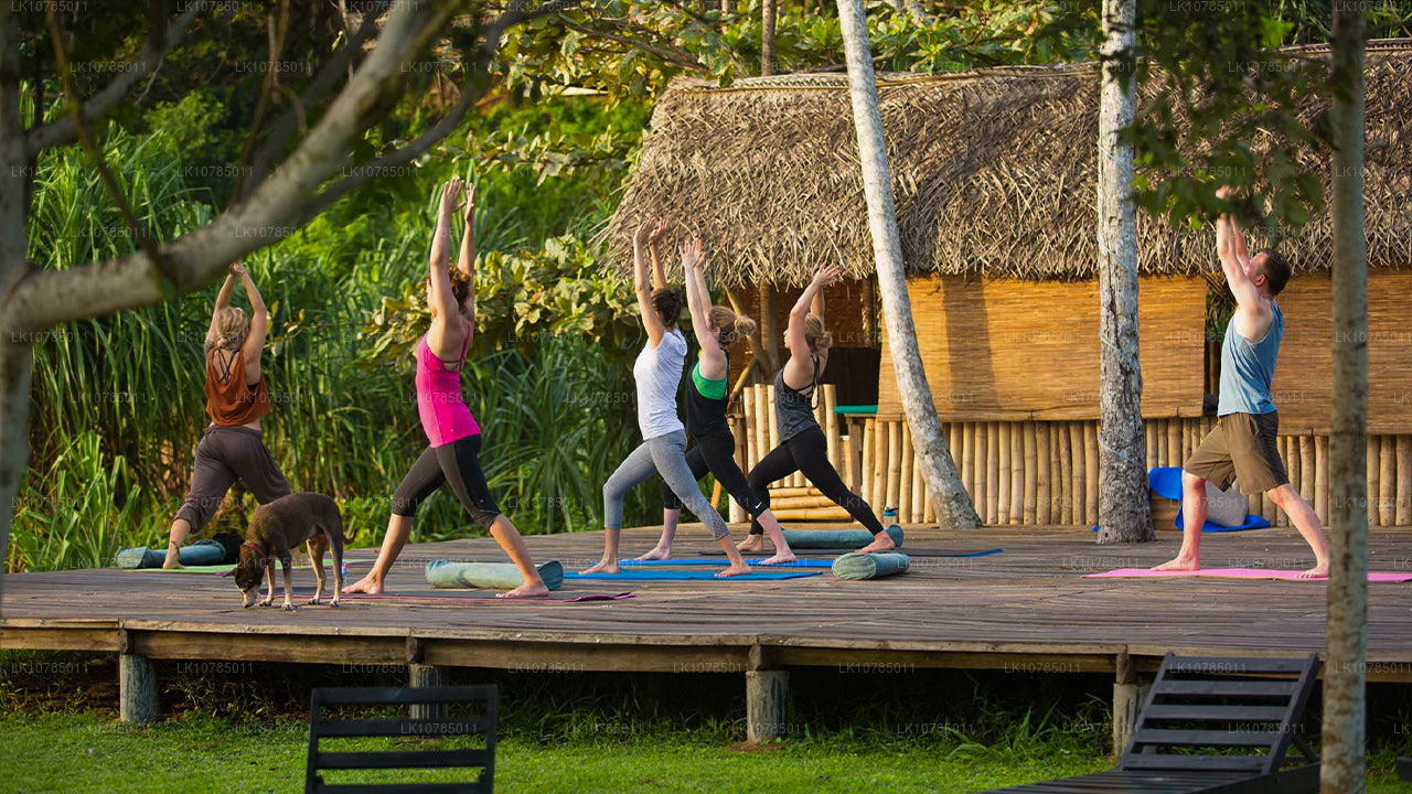 Escapada de Ayurveda en Wadduwa (7 días)