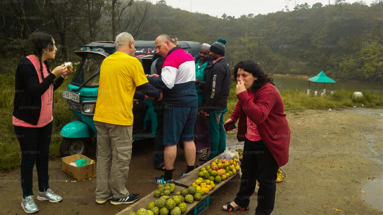 Expedición cultural y culinaria (7 días)