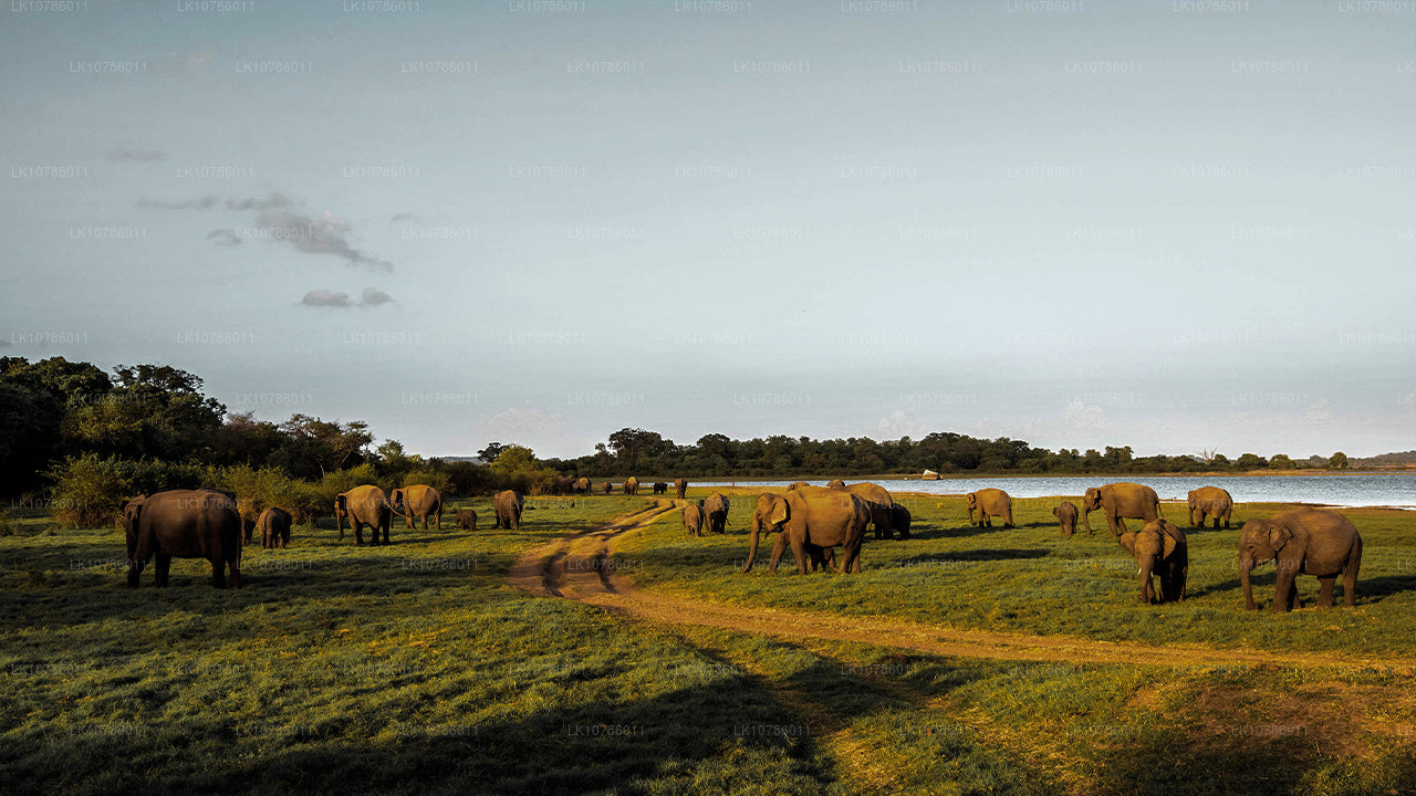 Expedición cultural y culinaria (7 días)