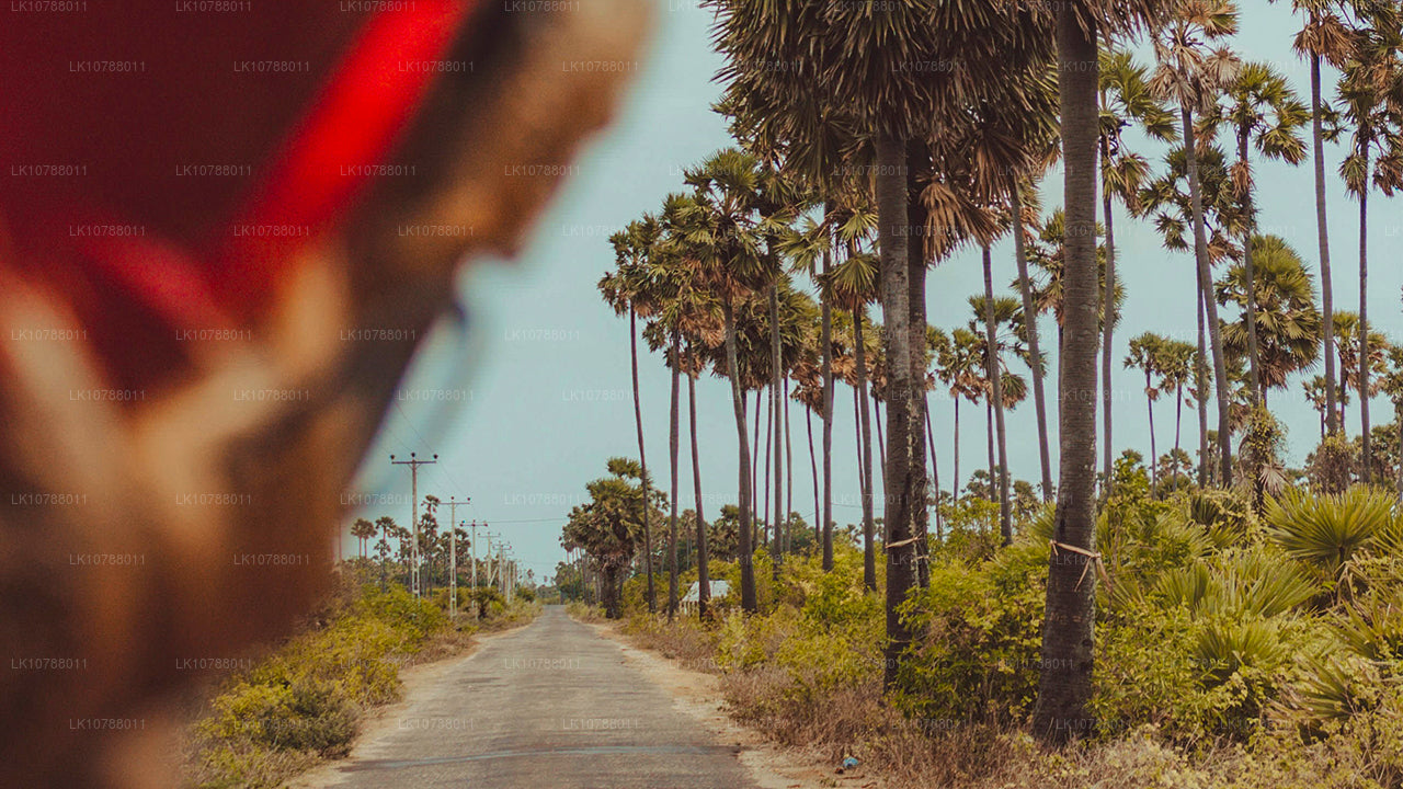 La increíble Jaffna (7 días)