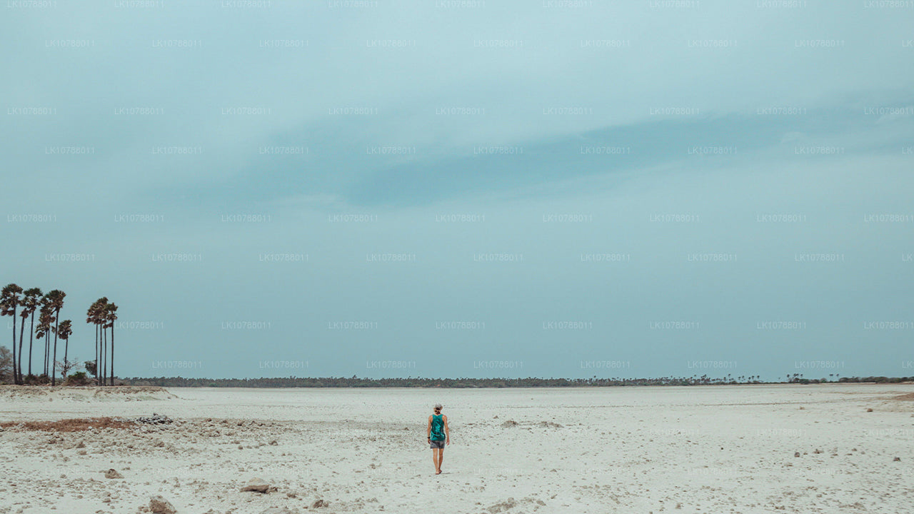 La increíble Jaffna (7 días)