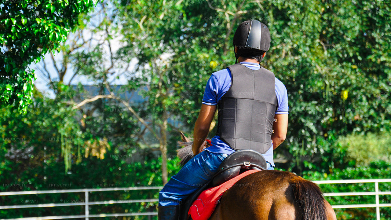 Excursión a caballo (7 días)