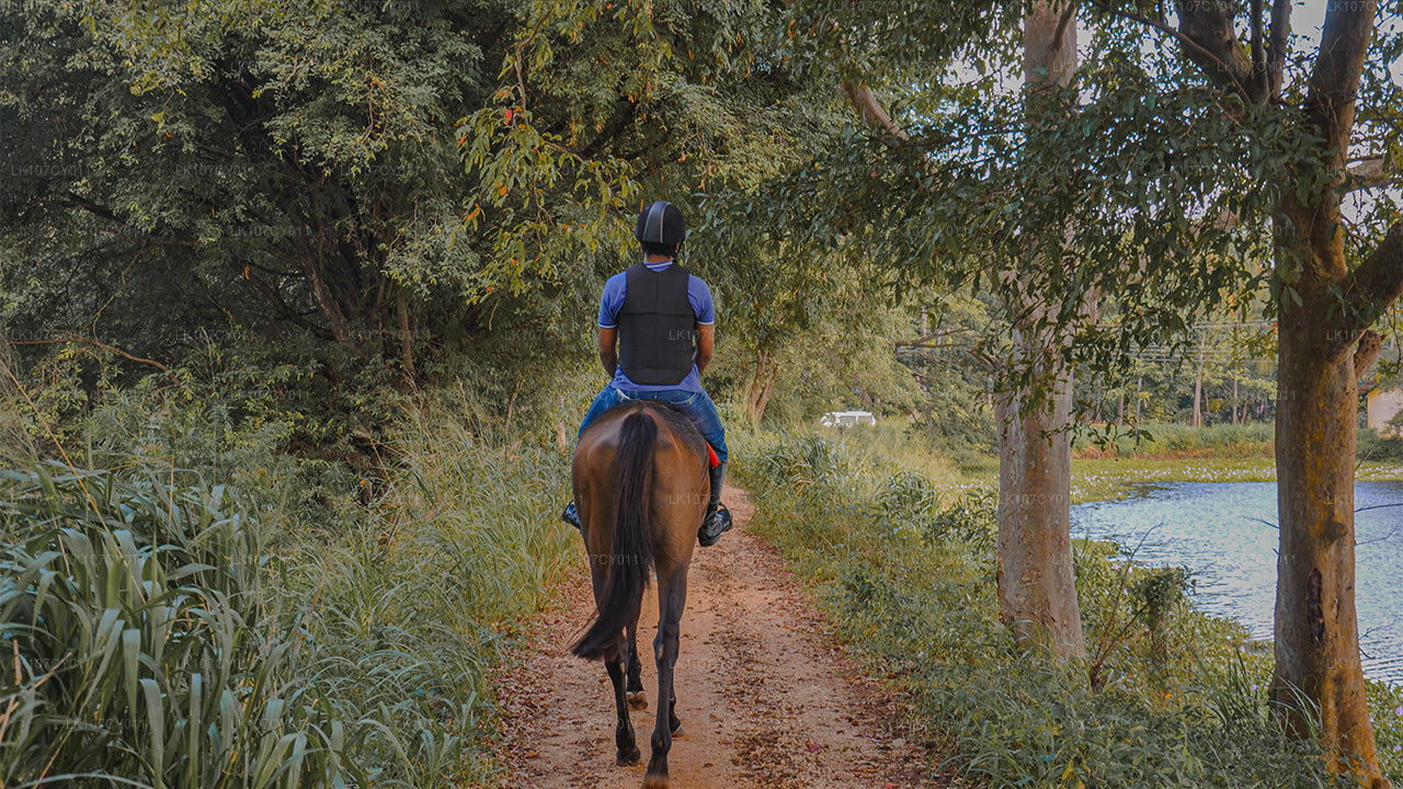 Excursión a caballo (7 días)