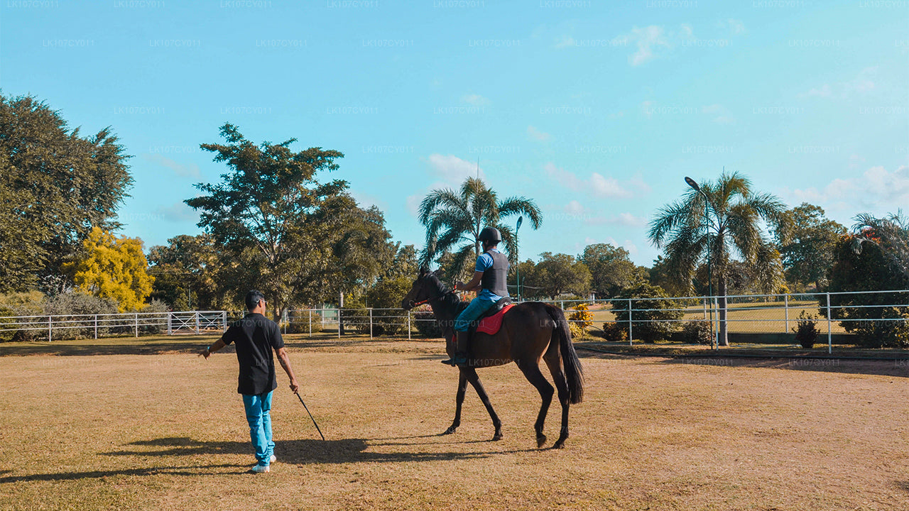 Excursión a caballo (7 días)