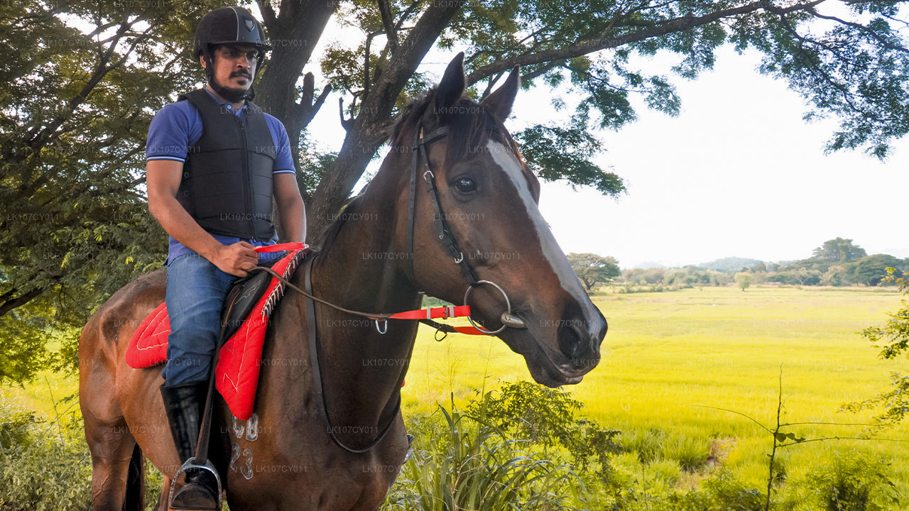 Excursión a caballo (7 días)