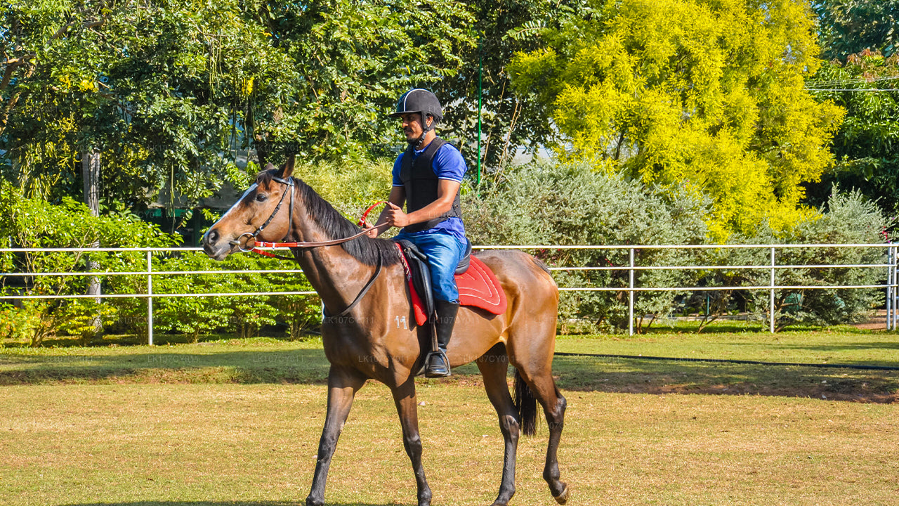 Excursión a caballo (7 días)