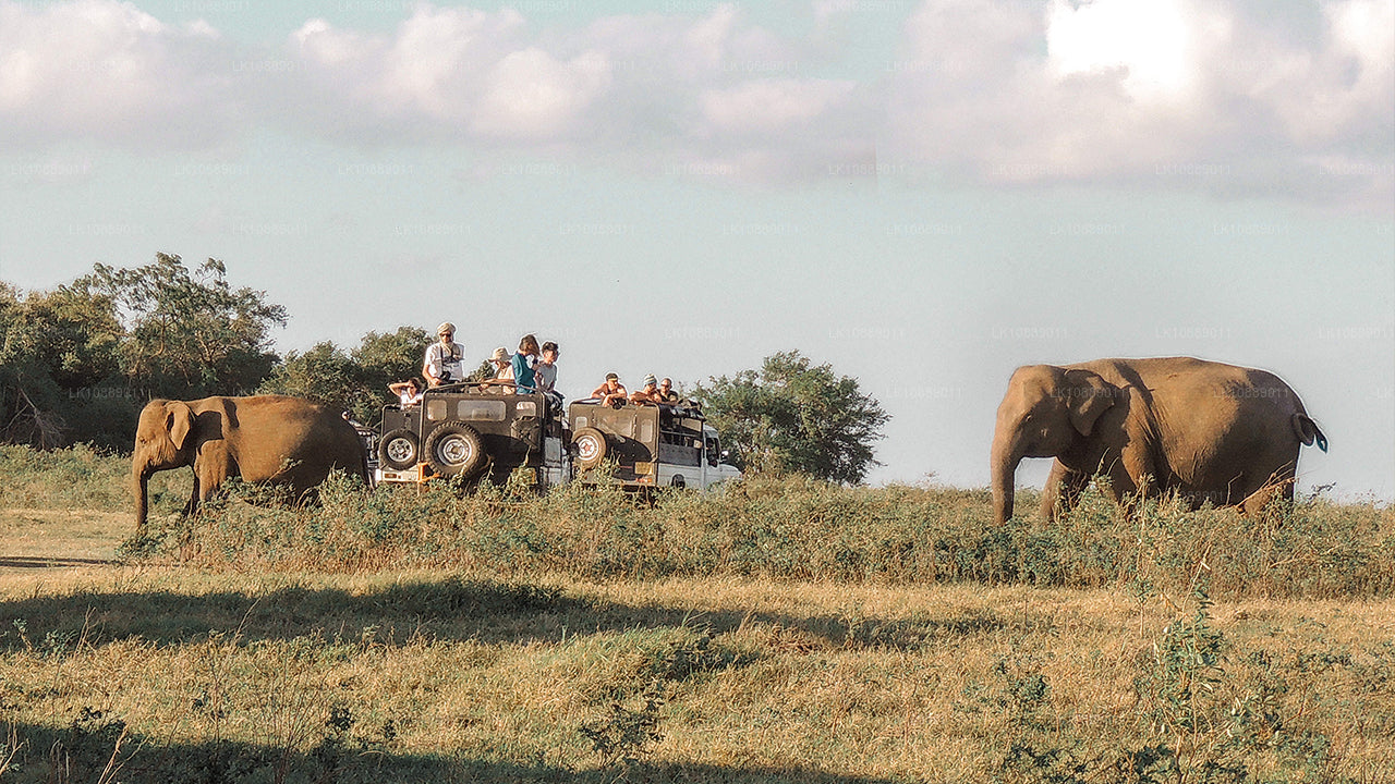 Camina entre la cultura (8 días)