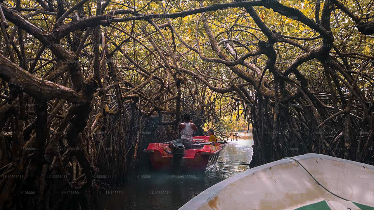 Camina entre la cultura (8 días)