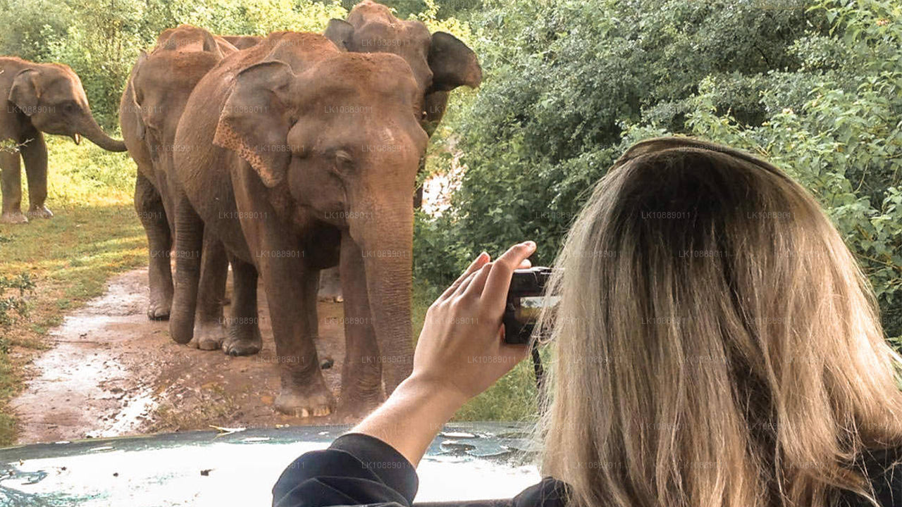 Camina entre la cultura (8 días)