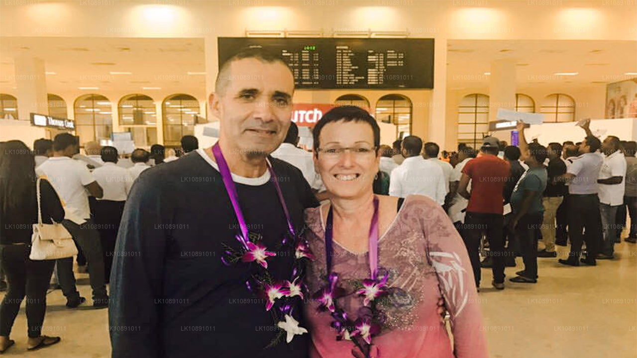 Ceilán por excelencia (8 días)