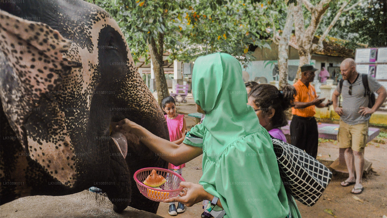 Ceilán por excelencia (8 días)