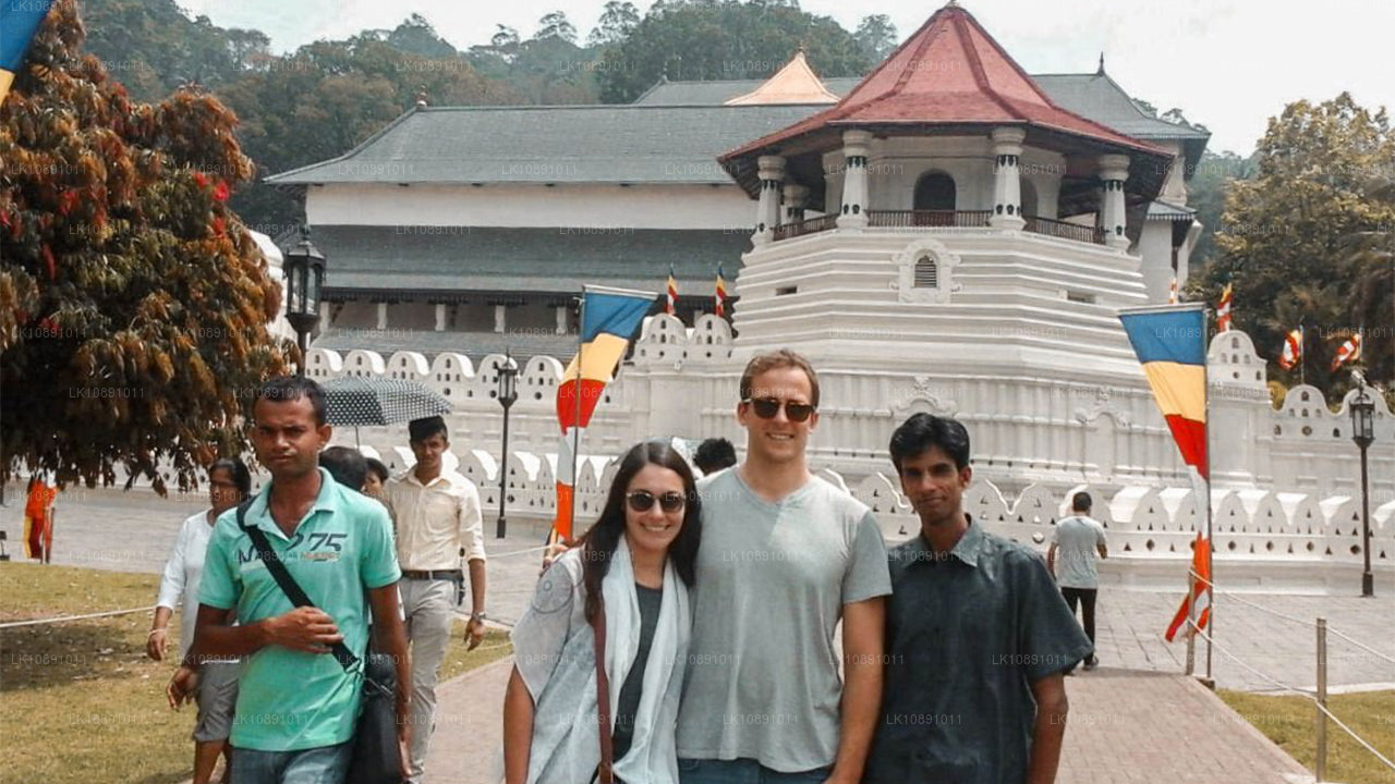 Ceilán por excelencia (8 días)