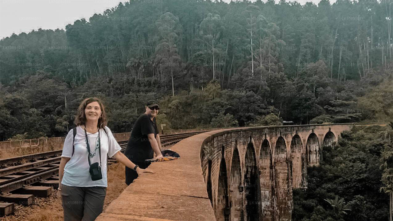 Ceilán por excelencia (8 días)