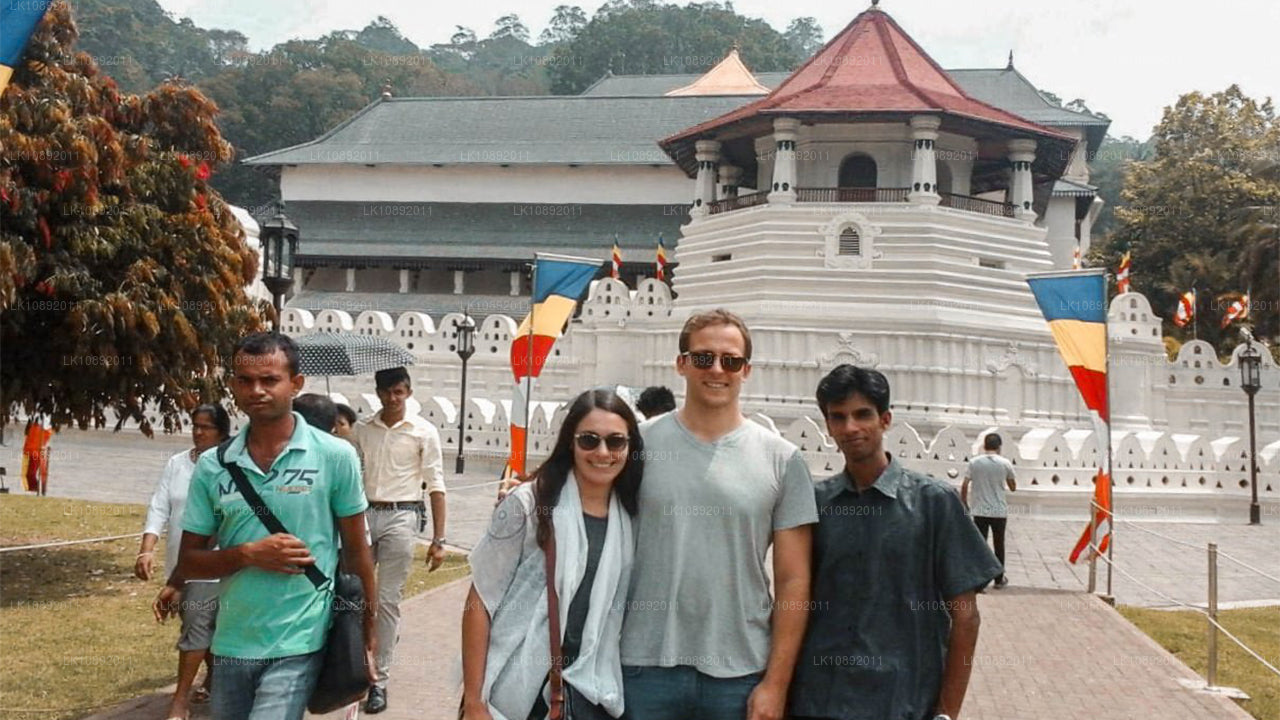 Cultura, naturaleza y naturaleza (8 días)