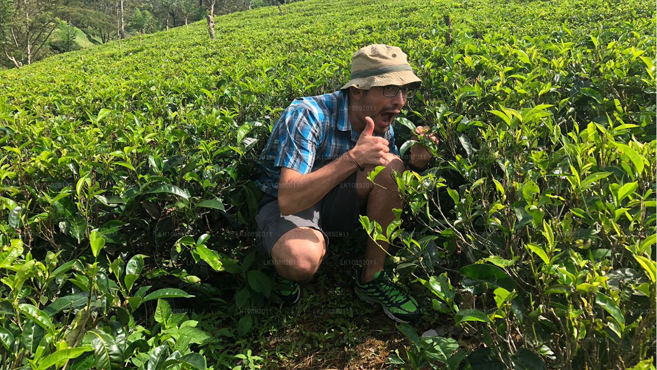 Cultura, naturaleza y naturaleza (8 días)