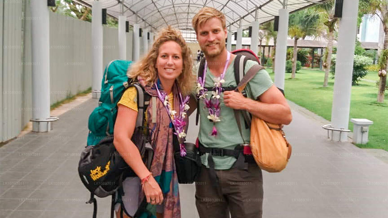 Wild Wonders (8 días)