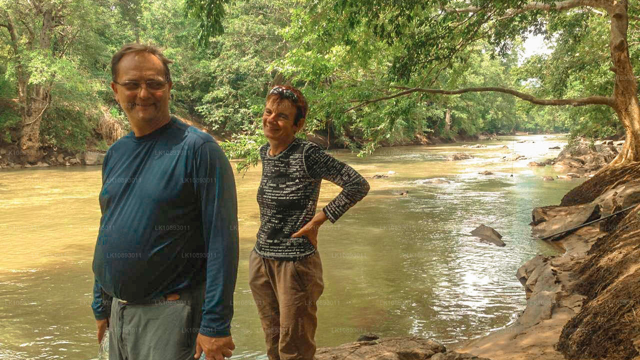 Wild Wonders (8 días)