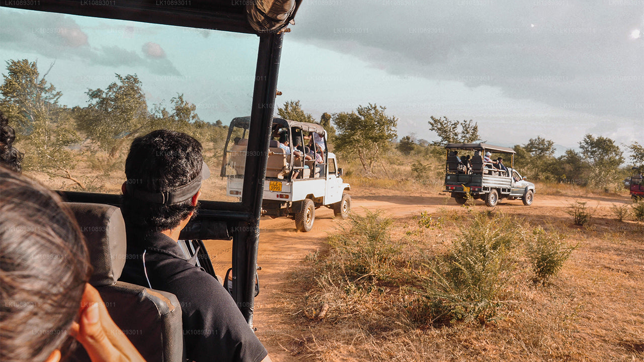 Wild Wonders (8 días)