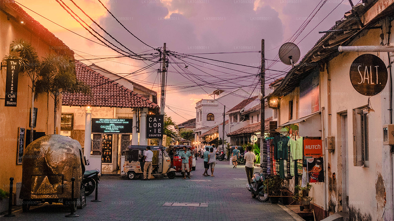 Wild Wonders (8 días)