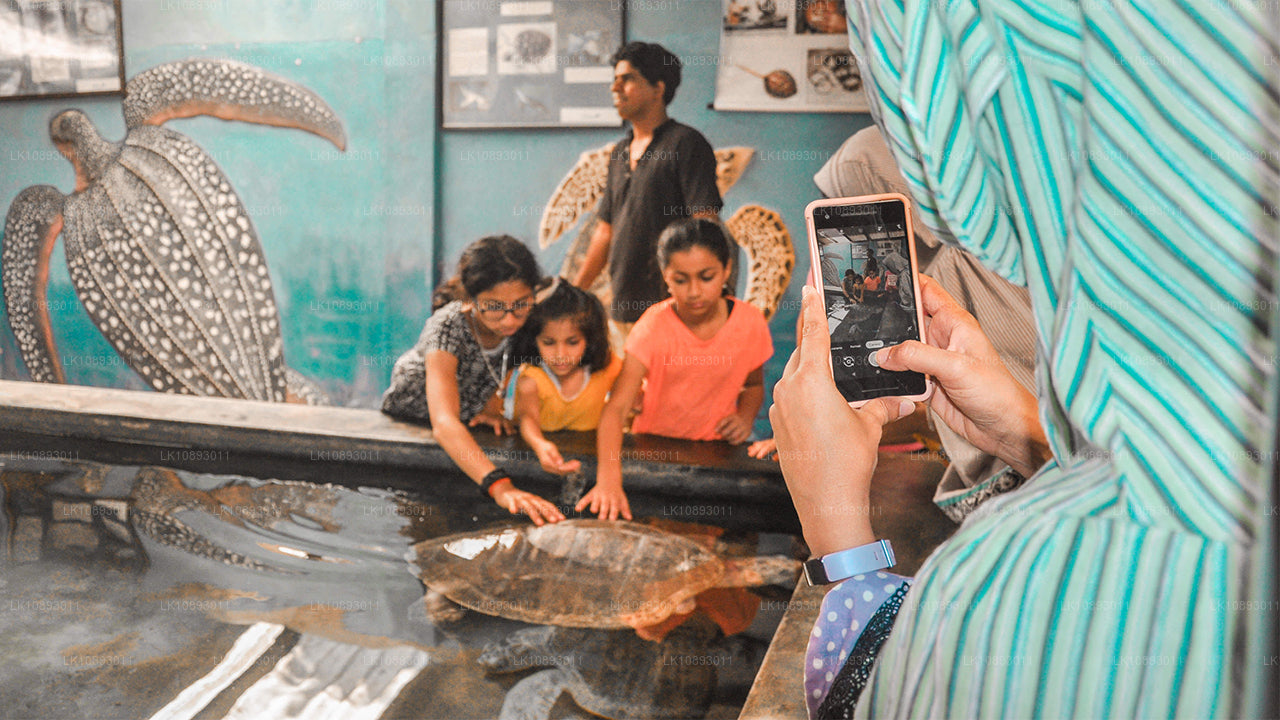 Wild Wonders (8 días)