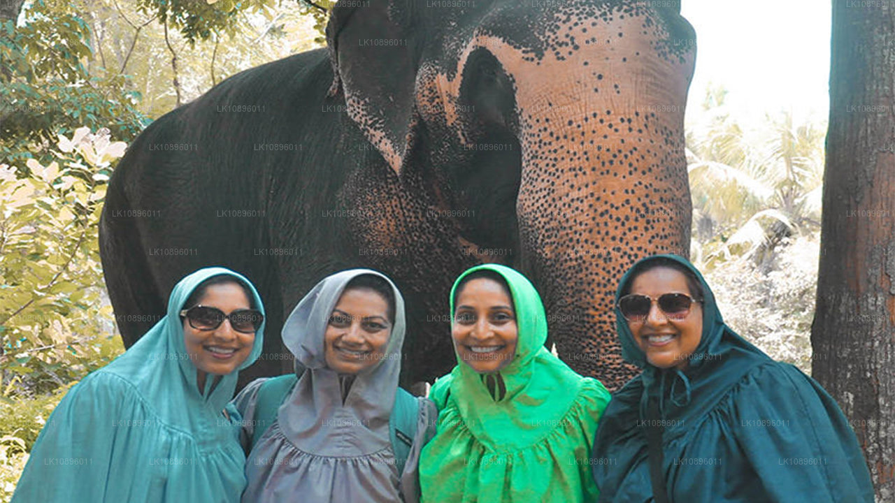 Costa y colinas (8 días)